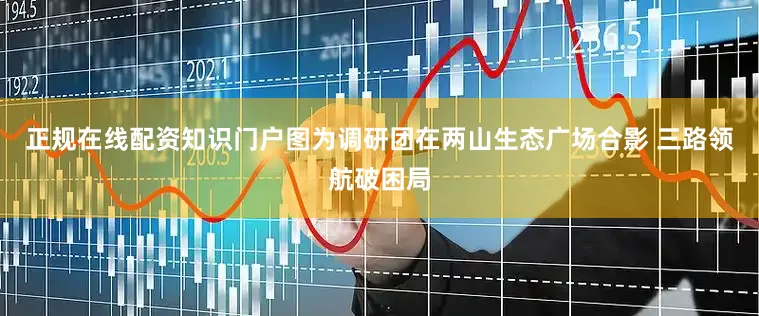 正规在线配资知识门户图为调研团在两山生态广场合影 三路领航破困局