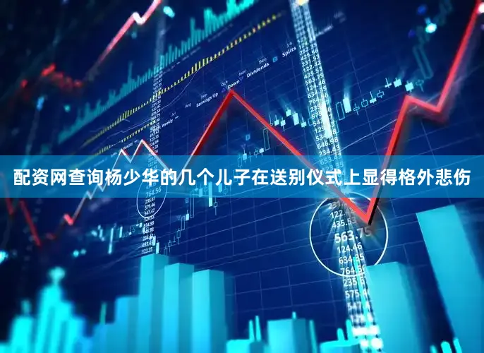 配资网查询杨少华的几个儿子在送别仪式上显得格外悲伤