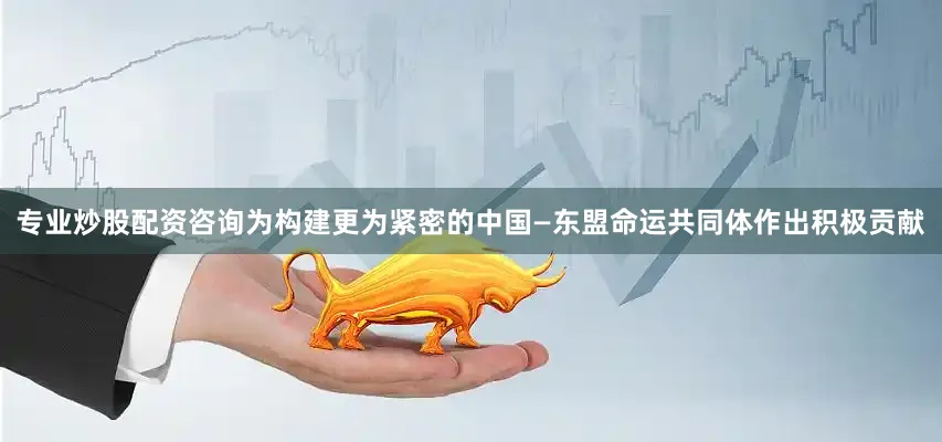 专业炒股配资咨询为构建更为紧密的中国—东盟命运共同体作出积极贡献