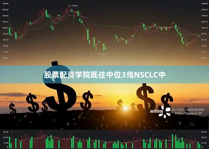 股票配资学院既往中位3线NSCLC中